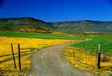 northern cape namaqualand