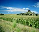 free state farming