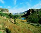 free state highland