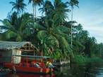tortuguero