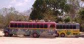 Bus mexique