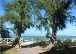 nautile plage