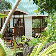 ile des palmes chalet