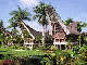 toraja