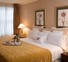 The roosevelt hotel