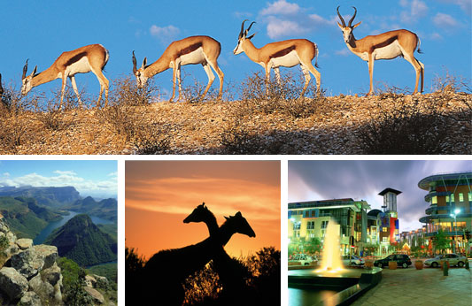 Voyage, s�jour en afrique du sud