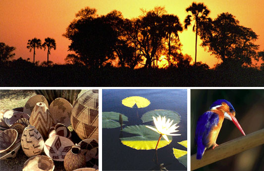 Voyage, S�jour au Botswana