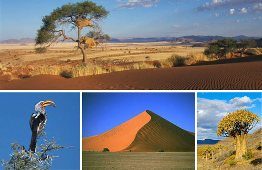 Voyage, s�jour en Namibie