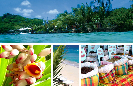 Voyage, s�jour � saint martin