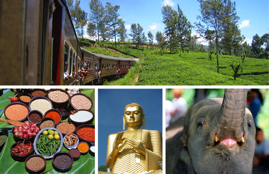 Voyage, s�jour au sri lanka