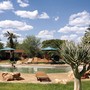 Voyage Namibie