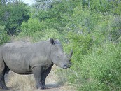 voyage, s�jour, vacances en afrique du sud