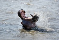 voyage, s�jour, vacances en Afrique du sud