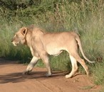 Voyage, s�jour, vacances en afrique du sud