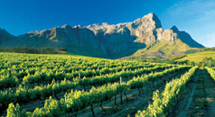 voyage, s�jour, vacances en Afrique du Sud