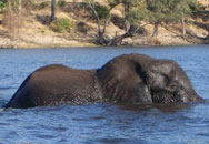 Voyage, s�jour, vacances au Botswana