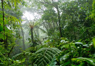 voyage, s�jour vacances au costa rica