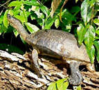 voyage, s�jour, vacances au costa rica