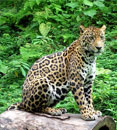 voyage, s�jour, vacances au costa rica