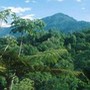 voyage Costa Rica