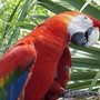 voyage Costa Rica