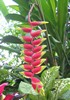 Voyage Indon�sie