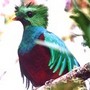 voyage Costa Rica