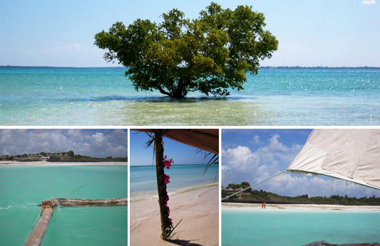 Voyage zanzibar, vacances