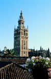 giralda