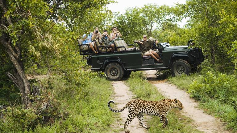 Voyage : quel pays pour un safari photo en Afrique ?