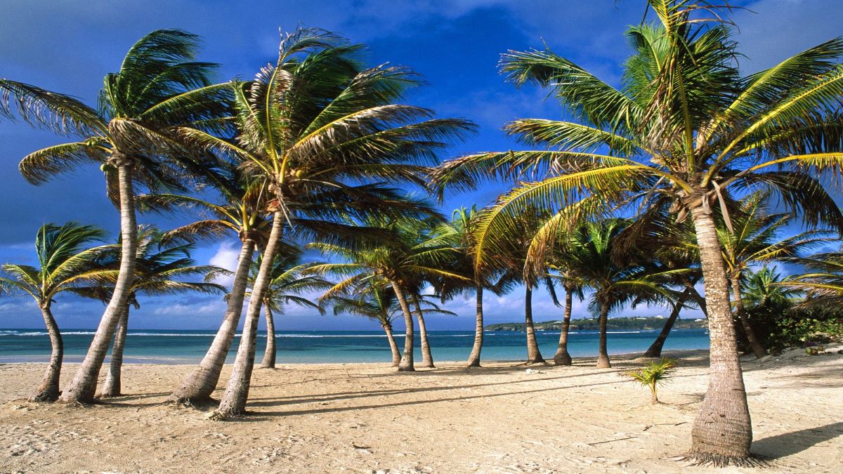 Sjour Guadeloupe au soleil 