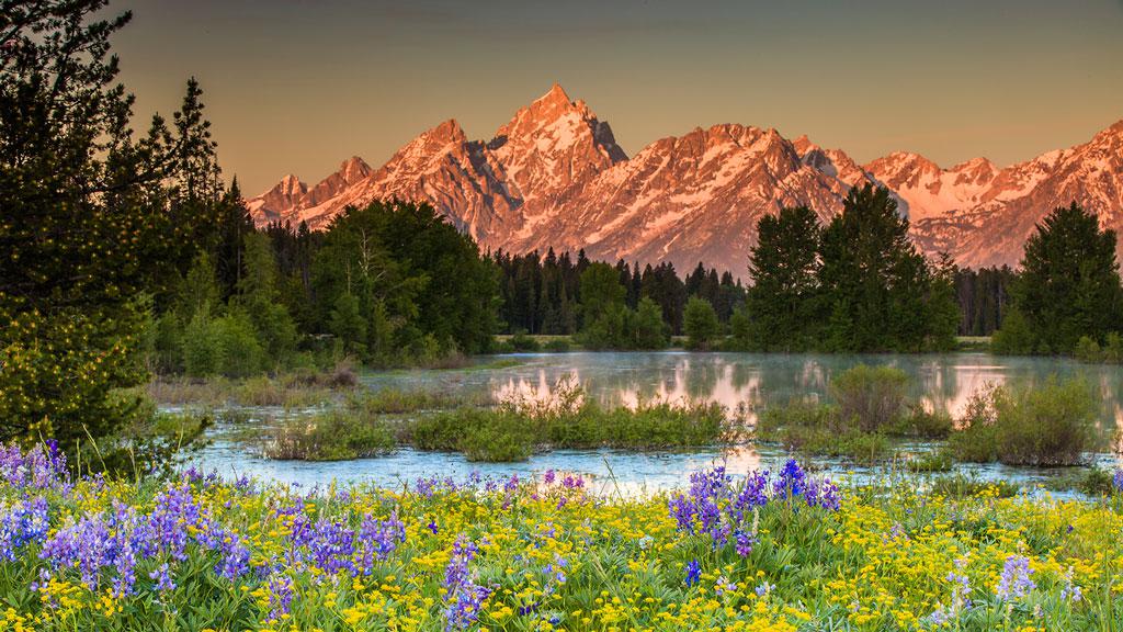 Grand Teton National Park