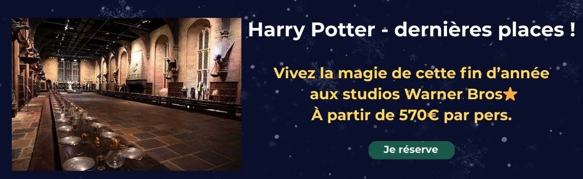 Harry Potter fin d'année 2025